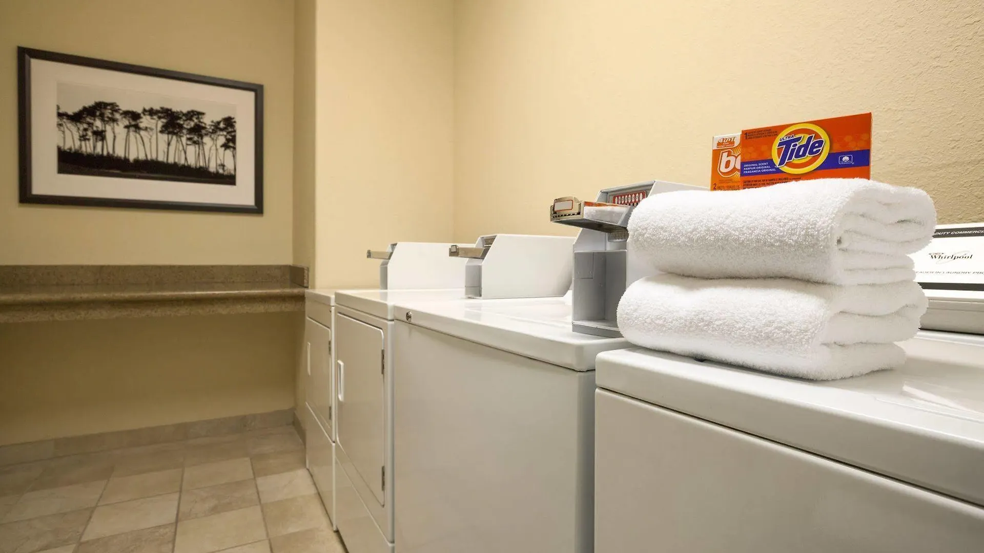 Country Inn & Suites By Radisson, St Petersburg - Clearwater, Fl Pinellas Park Hotel